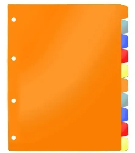 Divisória Fichário Colegial Com Visor Coloridas C/21