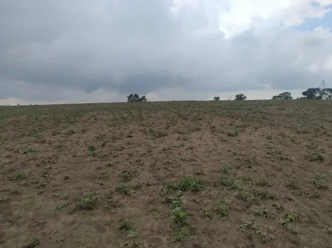 FAZENDA EM CASSIA DOS COQUEIROS 53 ALQUEIRES 7.950.000.00