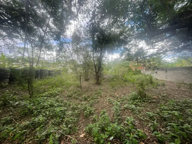 Terreno 600 m2 em Seropédica 