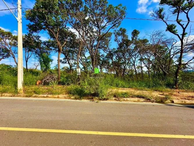 Lote em Pomar Da Lagoa.