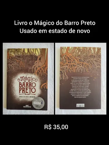 Livro literário - O Mágico do Barro Preto