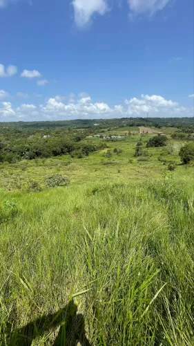 Área com Rio ótima pra montar sua chácara ou granja