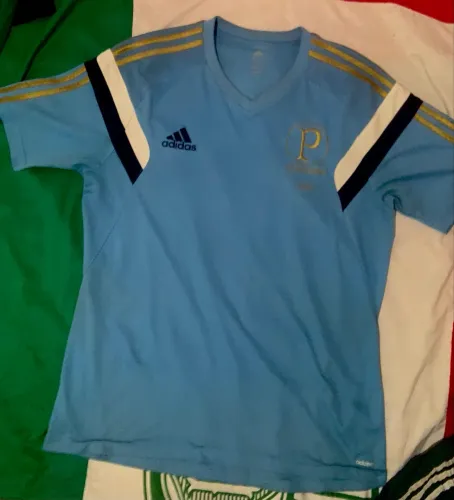 Camisa Eterna Academia, Oficial Palmeiras 2014