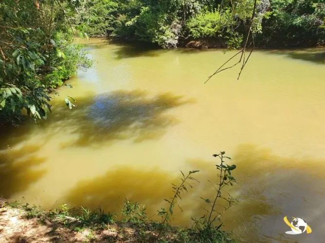 POTÊNCIA LEITEIRA: 400ha para Gado de Leite, Beira-Rio e Ótima Topografia!