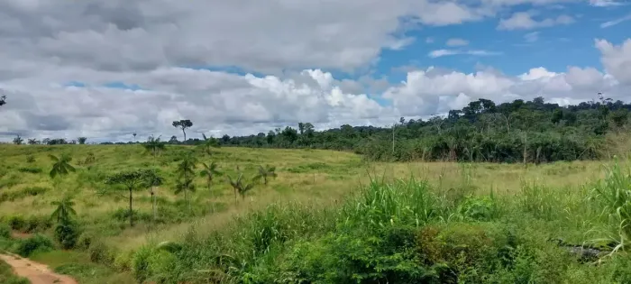 Imóvel para venda com 3481600 metros quadrados com 3 quartos em Centro - Pacajá - PA