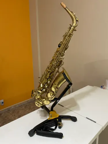 Sax Alto Shelter