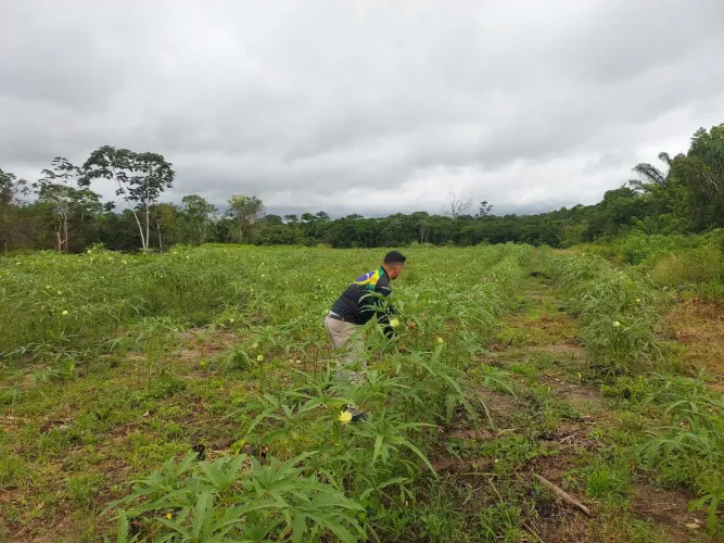 Vendo sitio chacara fazenda