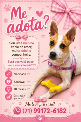 Cachorrinha linda! ?