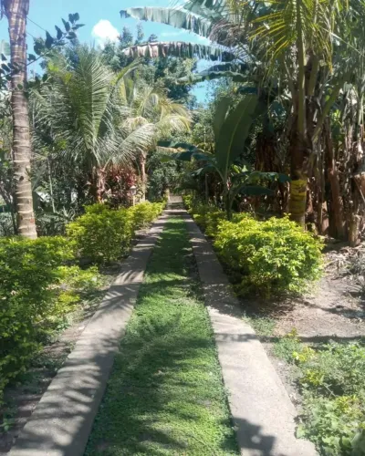 Vendo -Sitio