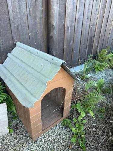 Casinha de cachorro 