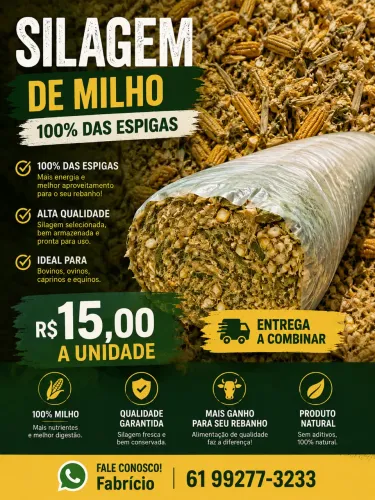 Silagem de milho