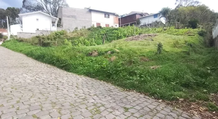 CAXIAS DO SUL - Terreno Padrão - CRUZEIRO