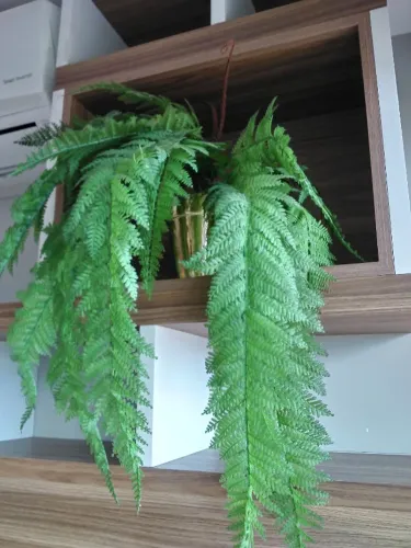 2 Plantas artificiais lindas, com vaso incluso