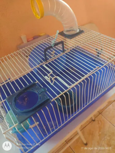 Gaiola de hamster