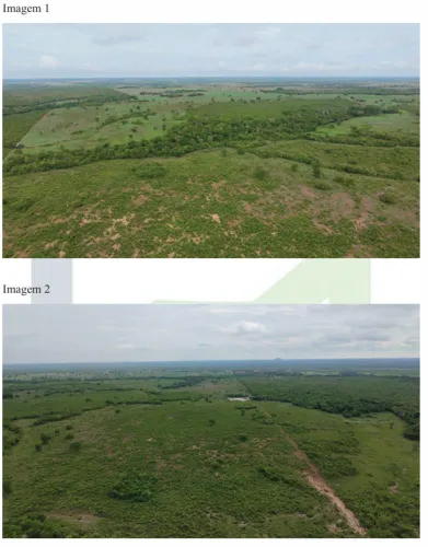 Imóvel rural no Zona Rural em Araguaçu