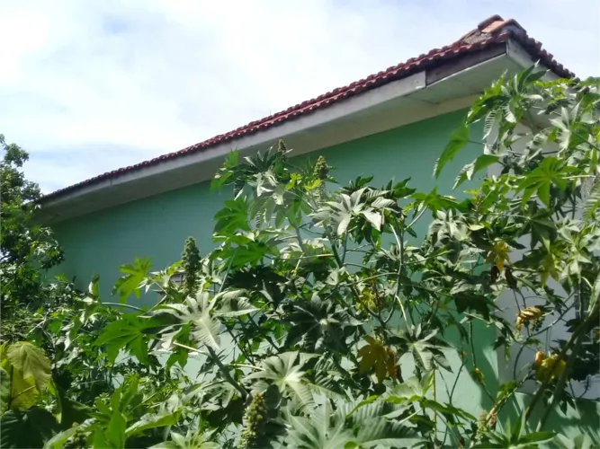 Terreno à venda em Parada inglesa - SP