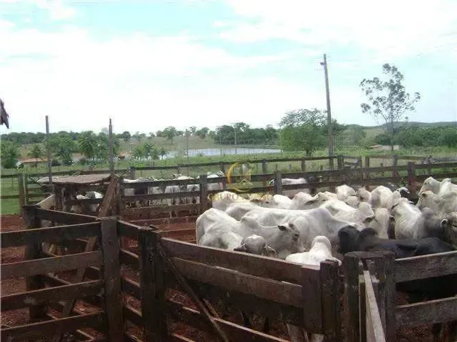 Fazenda dupla aptidão 2120 HA à venda em Mundo Novo Goiás!