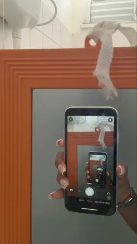 celular iphone xr