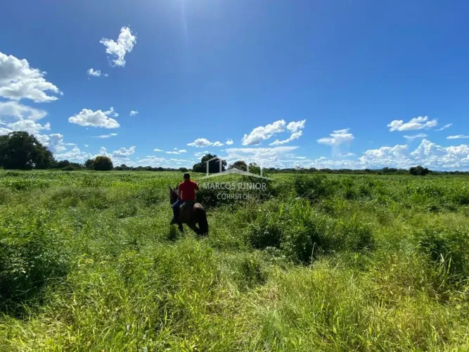 EXCELENTE FAZENDA EM JANUARIA NA BEIRA DO SÃO FRANCISCO PARA PECURIA E PIVÔ