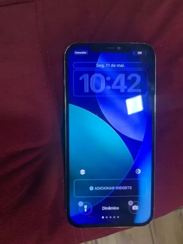 iPhone 12 Pro Max 