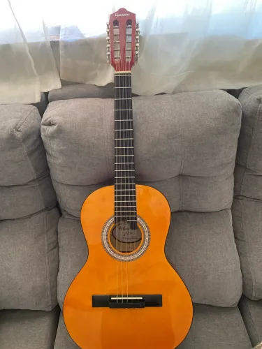Viola caipira acústica giannini 10 cordas 
