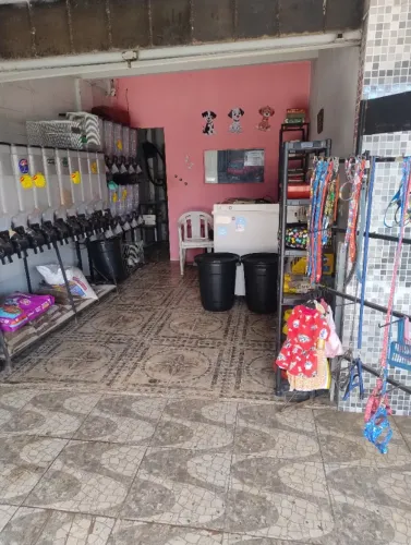 Passo ponto de um pet shop com banho tosa montado 