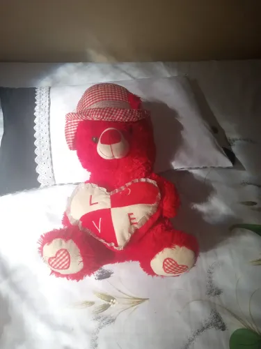 Urso de pelúcia em perfeito estado 