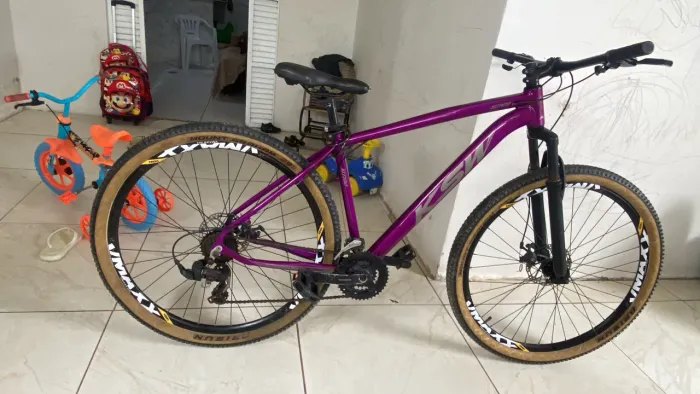 Bicicleta Aro 29
