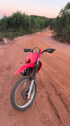 Vendo crf230