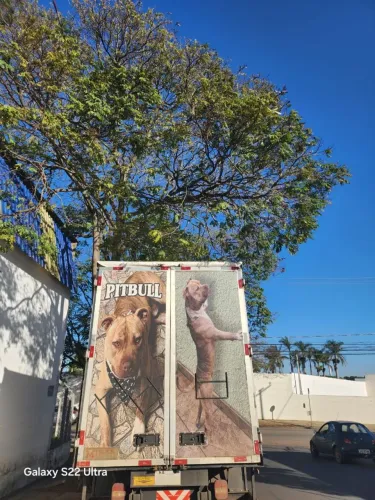 Baú para caminhão 3/4