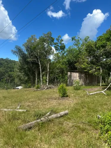 Vendo Sítio localizado na AM 010 no Km 30, no Ramal da Água Branca I com igarapé.