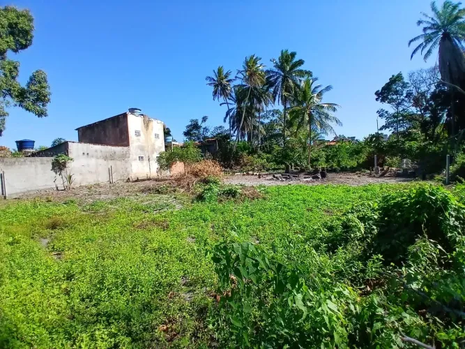 Terreno