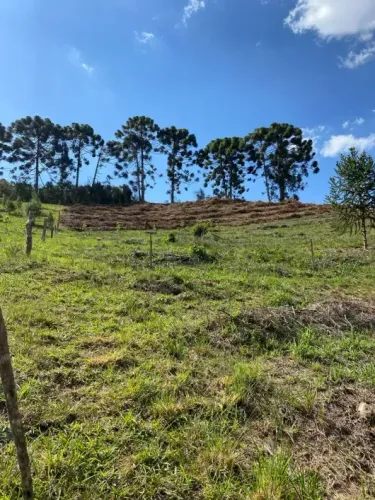 O Lugar dos Seus Sonhos na Mantiqueira! Ótimo Sítio com 14 Hectares, Delfim Moreira/MG