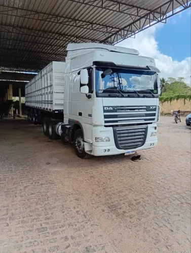 Daf xf 460 cavalo