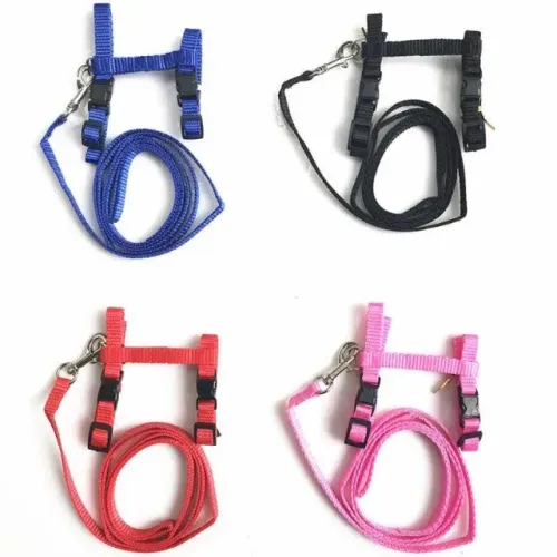 guia peitoral coleira pet + bolinha com guiso