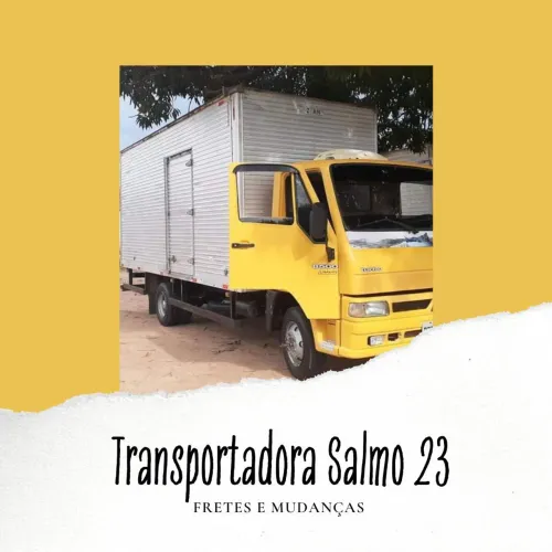 Frete mudança viagens tbem Manaus e Interior