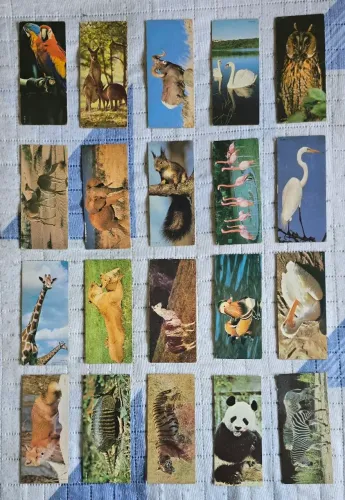 Set cards/figurinhas Nestlé Surpresa Animais de Todo o Mundo (1983) completo