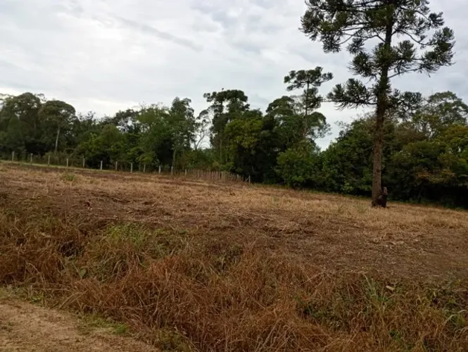 Chácara em bela vista município Paulo fronti