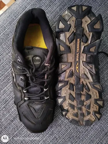 Tênis masculino Bull Terrier