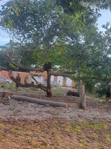 Vende.se tereno massagueira 10 por 20