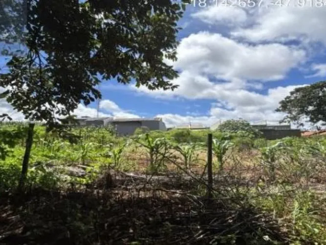 Terreno 300 m² - Catalão-GO - Rua Antônio Gomes da Silva - Lt. 06 da Qd. 06 - Novo Horizon