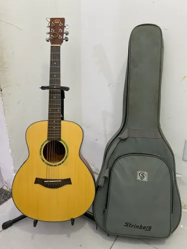 Violão Gonzalez Mini Elétrico + Capa Premium
