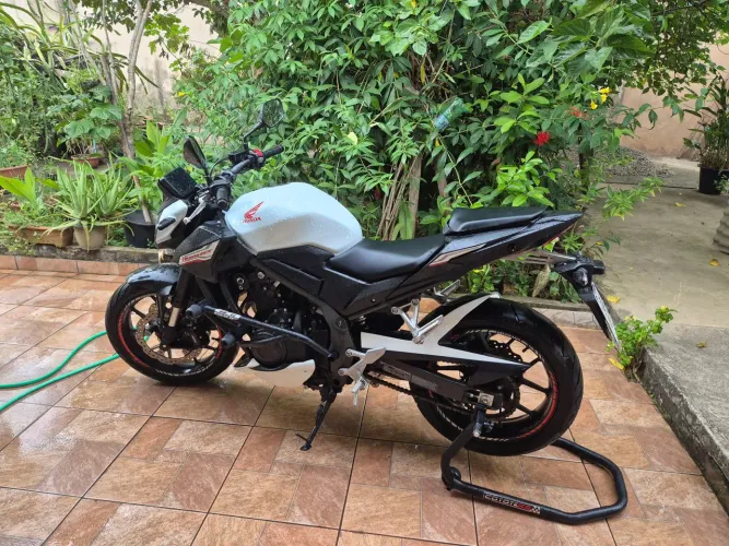 Hornet 500