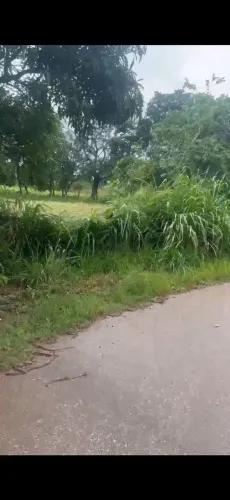 Chacaras rural em sitio novo
