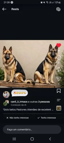 Vendendo Barato 