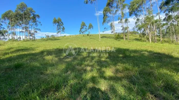 Terreno à venda em Gaspar com 85.000m² no bairro Gasparinho.