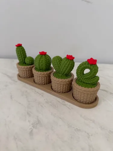 Decoração Cacto Love