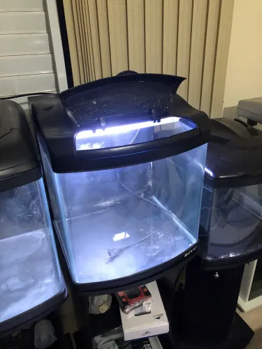 Aquário curvo Boyu 80L
