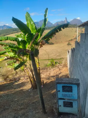 Vendo este terreno 60 mil reais 