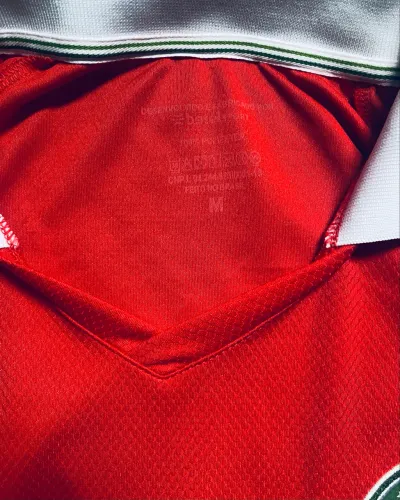Camisa goleiro palmeiras M Nova
